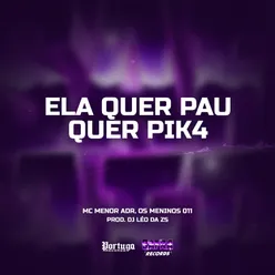 ELA QUER PAU QUER PIK4