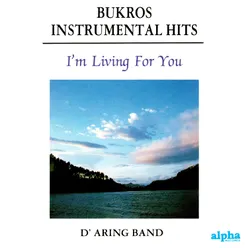 Bukros Instrumental Hits (I'm Living for You)