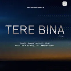 Tere Bina