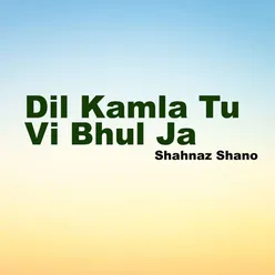 Dil Kamla Tu Vi Bhul Ja