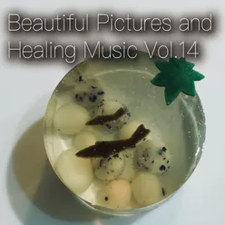 Beautiful Pictures and Healing Music Vol.14 (Women's Public Opinion Ver.)