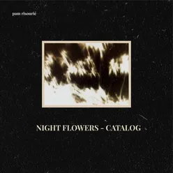 Night Flowers - Catalog