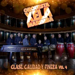 Clase, Calidad y Fineza, Vol. 4