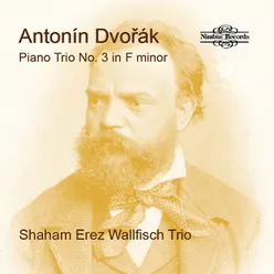 Slavonic Dances, Op. 72: No. 2, Dumka (arr. for piano & violin by Fritz Kreisler)