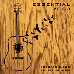 Essential, Vol. 1