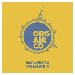 Instrumentais, Vol.4