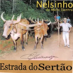 Estrada do Sertão