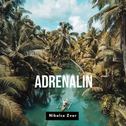 Adrenalin