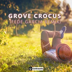Crocus (Fede Garcia Remix)