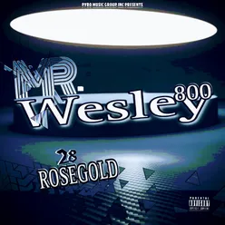 Mr Wesley 800 28 Rose Gold