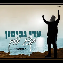 קצת ממך - ווקאלי