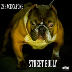 Street Bully