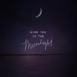 Miss You in the Moonlight