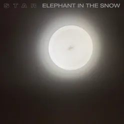 Elephant In The Snow Watching The Airplane