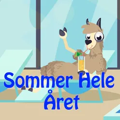 Sommer Hele Året