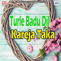 Turle Badu Dil Kareja Taka