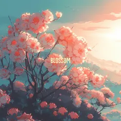 Blossom