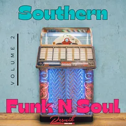 Southern Funk N Soul Vol. 2