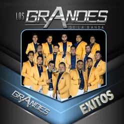 Grandes Exitos