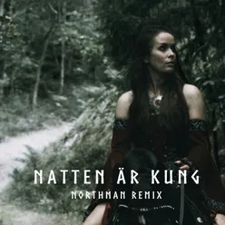 Natten är kung (Northman Remix)