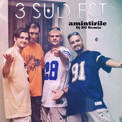 Amintirile (DJ BG Remix)