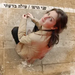 הרים