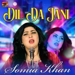 Dil Da Jani