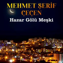 Meterisden İneydim