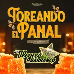 Toreando El Panal (Banda)