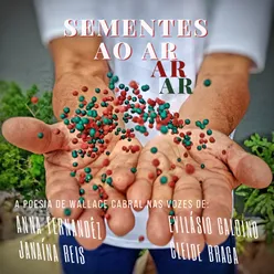 Sementes Ao Ar