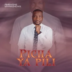 Picha ya Pili