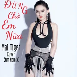 Đừng Chờ Em Nữa (HM Remix)