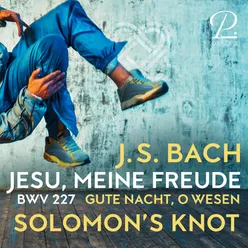 J. S. Bach: Jesu, meine Freude BWV 227. IX. Gute Nacht, o Wesen
