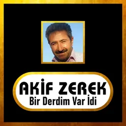 Bin Derdim Var İdi