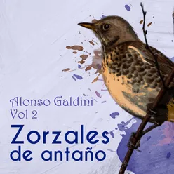 Zorzales de Antaño / Alonso Galdini, Vol. 2