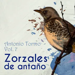 Zorzales de Antaños - Antonio Tormo, Vol. 7