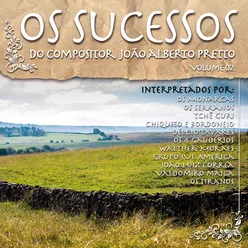 Os Sucessos do Compositor João Alberto Pretto, Vol. 2