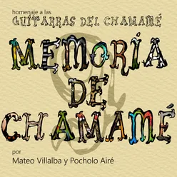 Memoria de chamamé / Las guitarras del chamamé Vol.9 (Coleccion)