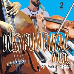 Instrumental Music for Every Moment, Vol. 2