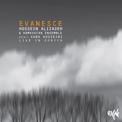 Evanesce (Live at Theater im Seefeld, Zürich, 2019)