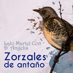 Zorzales de Antaño - Lalo Martel Con D´ Angelis