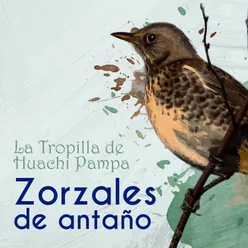 Zorzales de Antaño - La Tropilla de Huachi Pampa