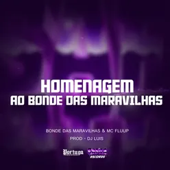 HOMENAGEM AO BONDE DAS MARAVILHAS