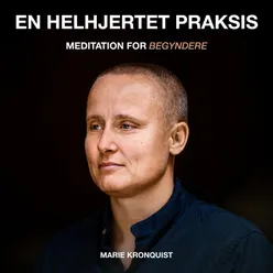 Meditation for begyndere - En helhjertet praksis