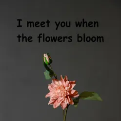 I meet you when the flowers bloom