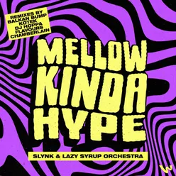 Mellow Kinda Hype (Flavours Remix)