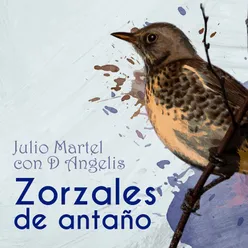Zorzales de Antaño - Julio Martel con D Angelis