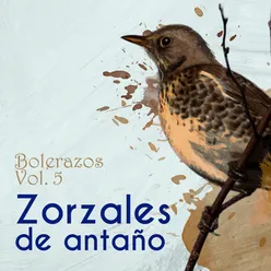 Zorzales de Antaño - Bolerazos, Vol. 5