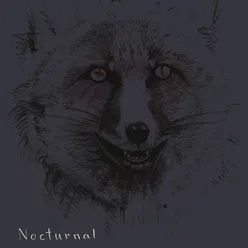 Nocturnal Beings