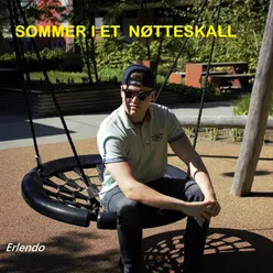 Sommer I Ett Nøtteskall